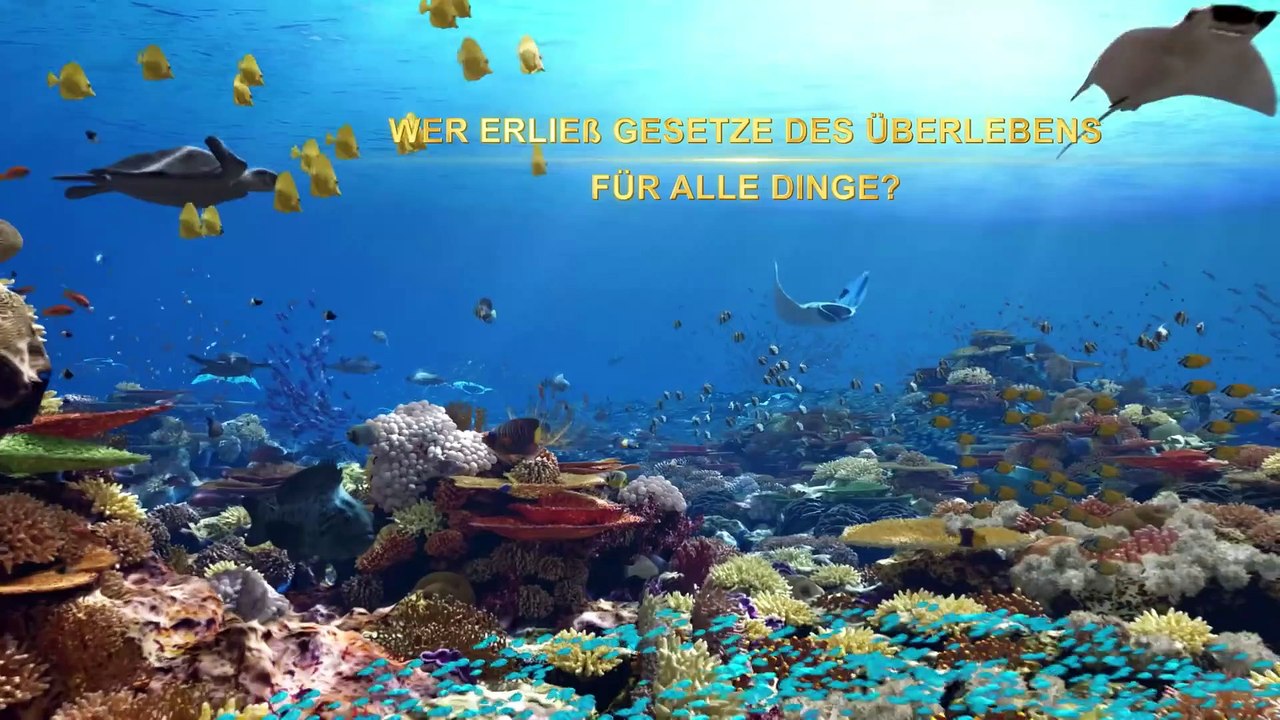 Doku-Trailer 'Der Eine, der die Herrschaft über alles hat' | Zeugnis der Kraft Gottes