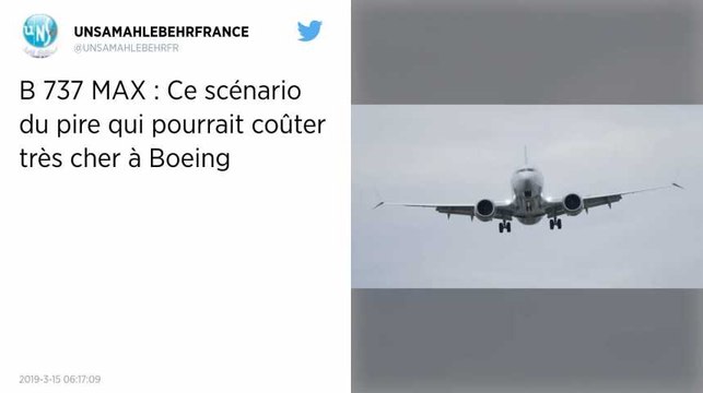 Tous les Boeing 737 Max immobilisés pour au moins « plusieurs semaines »