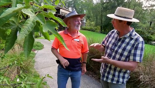 Gardening Australia episode 7 2019 - video dailymotion