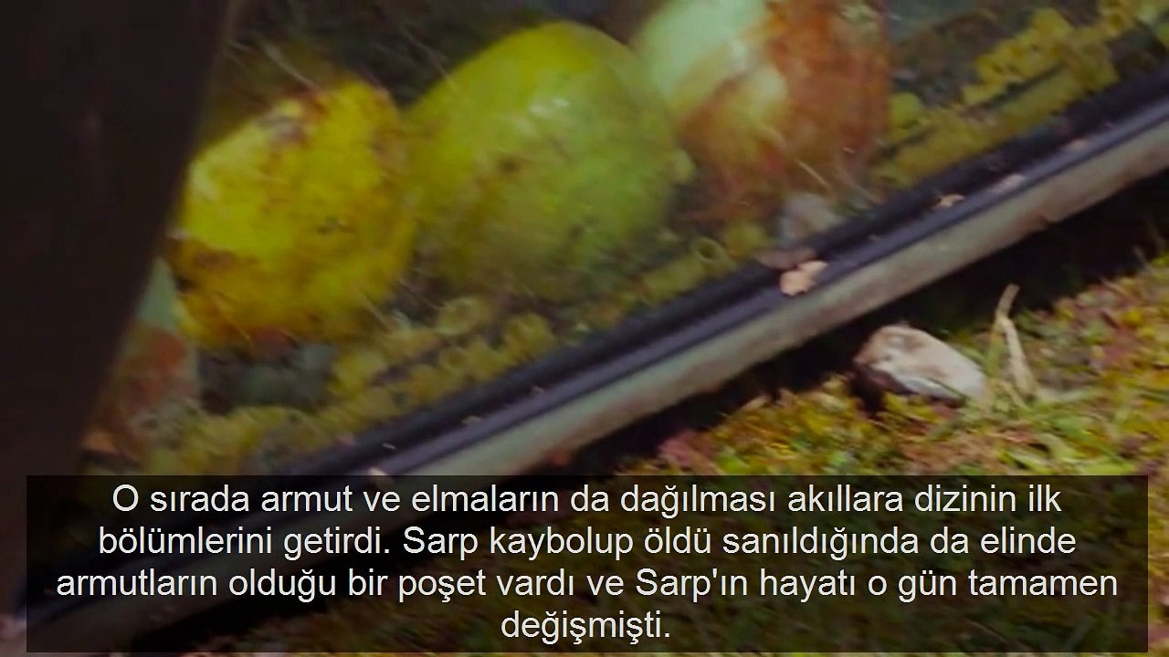 Kadın dizisinin en damar sahnesinde izleyiciyi güldüren hata!