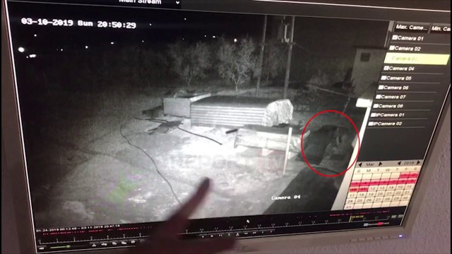 Hutuan gruan e pronarit dhe i morën 24 mln lekë/ Pamjet ekskluzive të grabitjes së karburantit