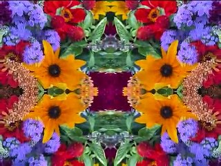 I Pity The Poor Immigrant (by Bob Dylan w_Rolling Thunder Tour live in NOLA '76)