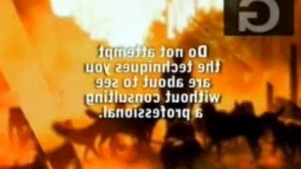 Dog Whisperer S04E03 Kiko, Tootsie & Ginger, and Binkey