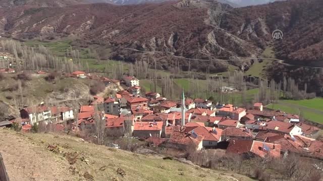 Cep Telefonuyla Konuşmak İçin Akıllı Tepe Ye Çıkıyorlar