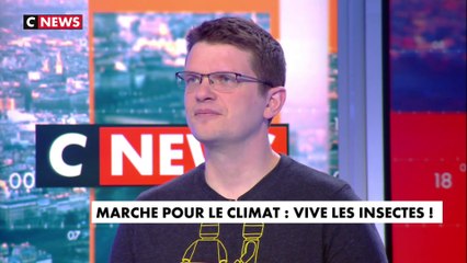 Jean-Gabriel Levon, co-fondateur de YNSECT - L'Hebdo de l'Eco