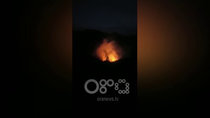 Ora News – Zjarr në masivin pyjor në Durrës