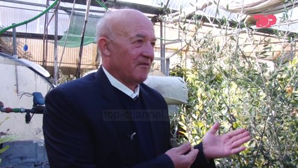 Bimët medicinale - Ulliri - Në Shtëpinë Tonë, 13 Mars 2019, Pjesa 5