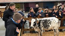 Ferme pédagogique à l’école Sainte Jeanne d’Arc