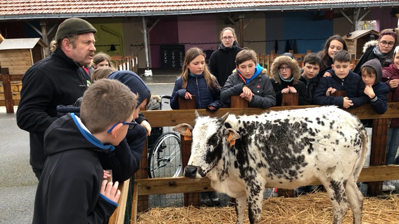 Ferme pédagogique à l’école Sainte Jeanne d’Arc