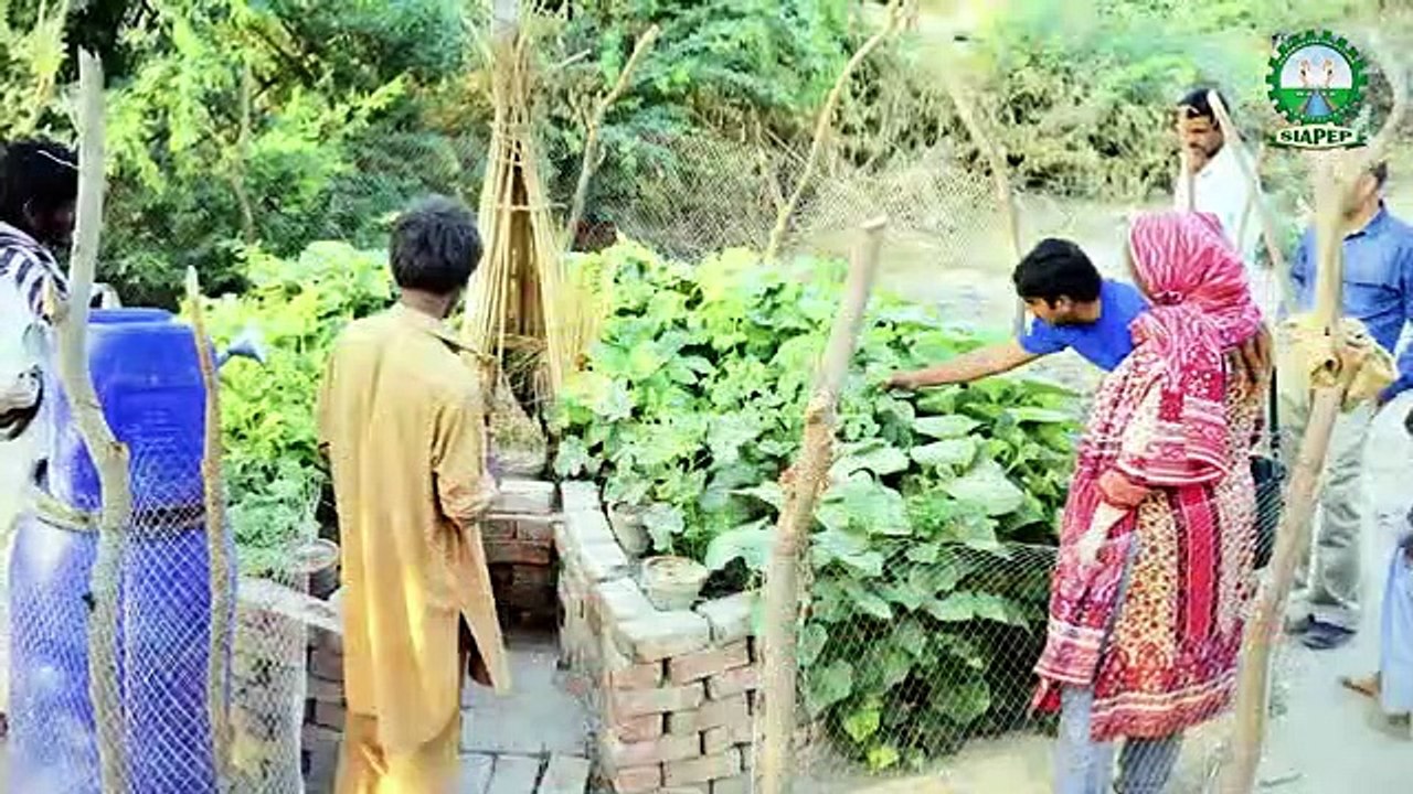 y2mate.com - message_for_farmers_of_sindh_from_agha_zaheeruddin_secretary_agriculture_sindh_sh7vPRj07w8_360p