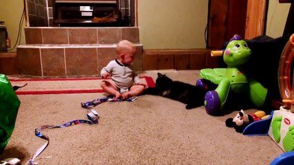 Baby And Cat Funny Fails Compilation  Video 2019 Funny Videos 0600