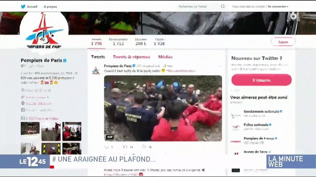 Elle appelle les pompiers pour une araignée