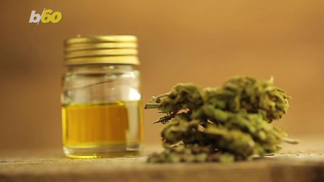 'Jelly Belly' Creator Now Selling CBD Infused Jelly Beans