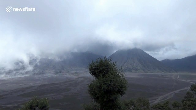 Indonesia's Mount Bromo erupts, spewing huge plume of ash