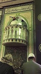 فاكر المدرس بتاعك ؟ عبدالرحمن السروى