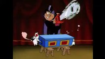 Looney Tunes en Español Latino America | Silvestre, el asistente del mago | WB Kids