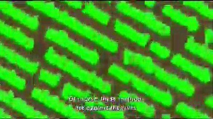 Watch "Pottu (2019)" "Full|Movie'