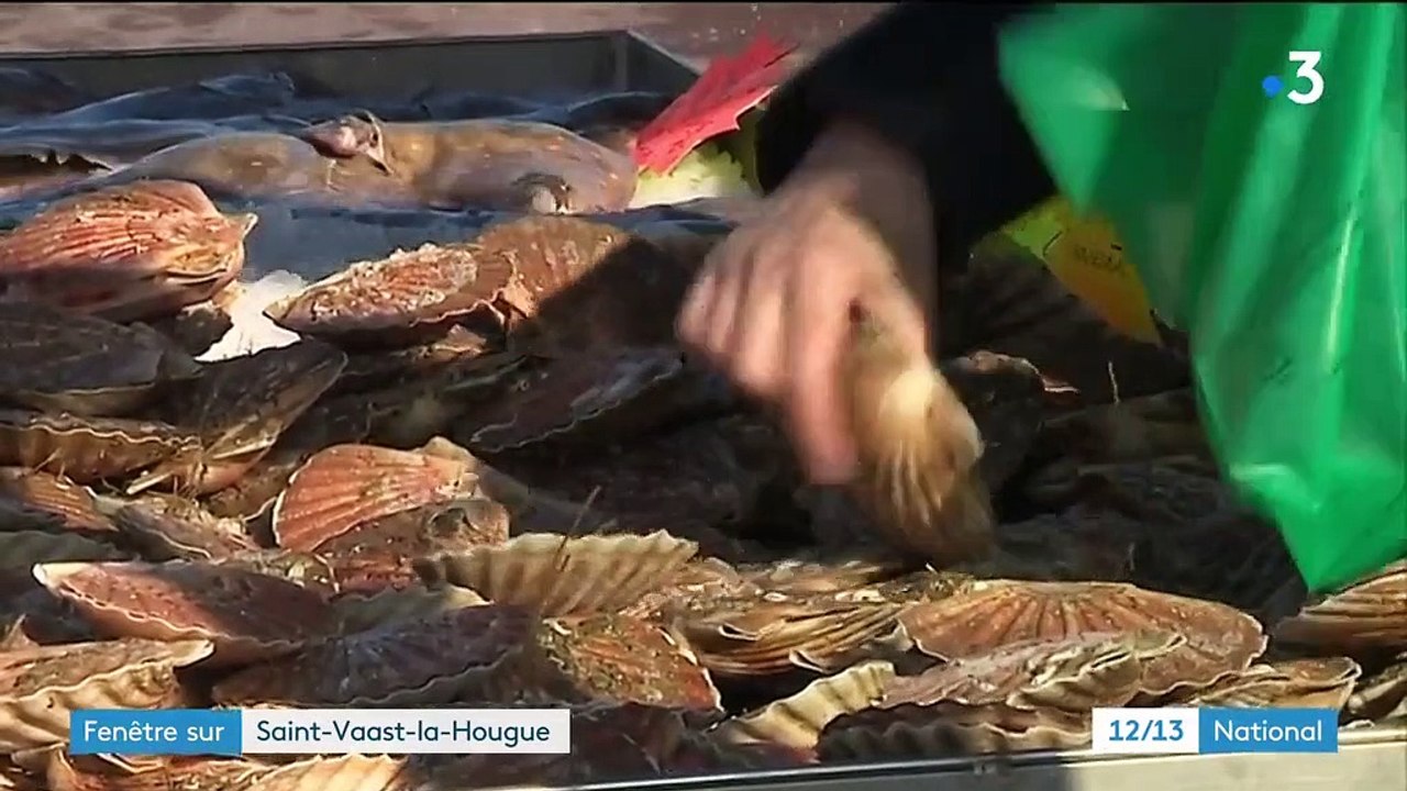 Découverte : la baie de Saint-Vaast-la-Hougue, joyaux de Normandie