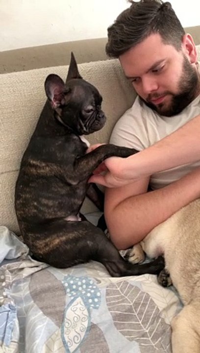 Puppy Needs More Petting