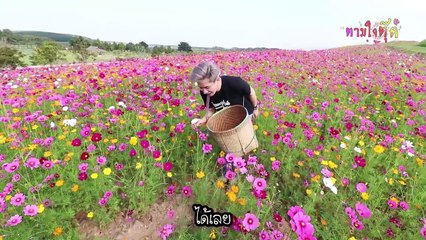 Teaser #ตามใจตุ๊ด EP.11 ต๊ะต่อนยอน สไตล์