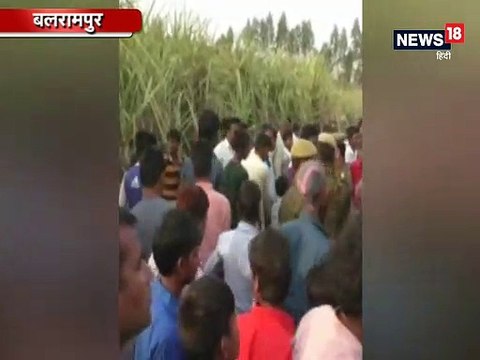 यूपी के बलरामपुर में गन्ने के खेत में घुसे तेन्दुएं को 12 घंटे की कड़ी मशक्कत के बाद पिजड़े में कैद करने में सफलता मिली