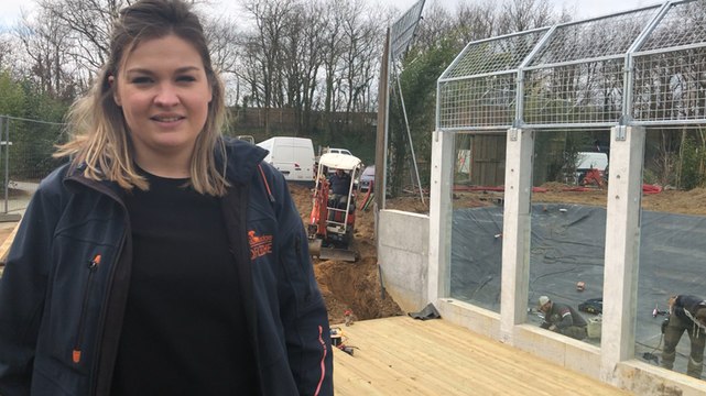 Lodges et enclos en cours de chantier