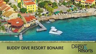2013 World's Best Diving & Resorts: Buddy Dive Resort Bonaire