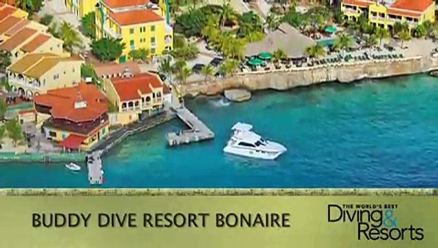 2013 World's Best Diving & Resorts: Buddy Dive Resort Bonaire