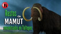 Restos de Mamut encontrados en Tultepec