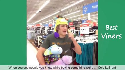 Try Not To Laugh or Grin While Watching This Funny Vines  2019