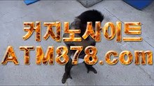 사이트카지노┙◆◆▶ＳＴＫ４２４. C O M◀◆◆≡사이트카지노