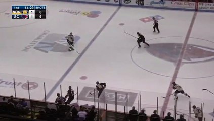 ECHL Norfolk Admirals 2 at South Carolina Stingrays 1