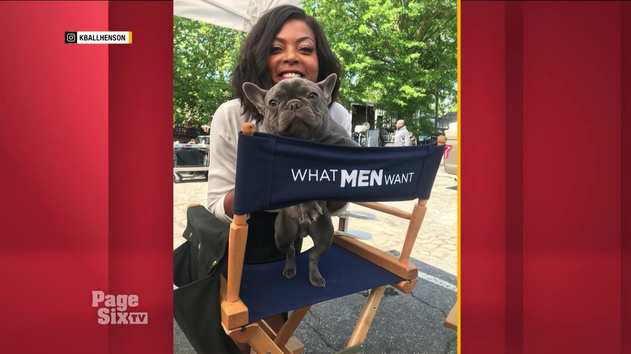 It's #FollowFriday, and we're shouting out @TherealTaraji's adorable French bulldog, #KBallHenson! Tune in to #PageSixTV!