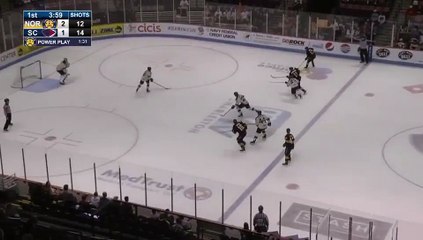 ECHL Norfolk Admirals 3 at South Carolina Stingrays 1