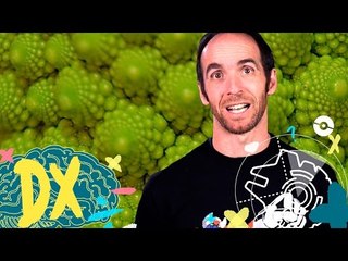 ¿Qué son los fractales?