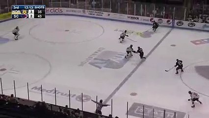 ECHL Norfolk Admirals 5 at South Carolina Stingrays 2