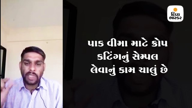 ખેડૂતો કઈ રીતે પાક વીમાનું 100% વળતર લઈ શકે? જાણવા જુઓ વીડિયો