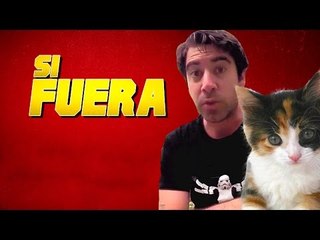 Si los gatos fueran capaces de hablar