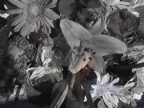 light rock music light rock bands