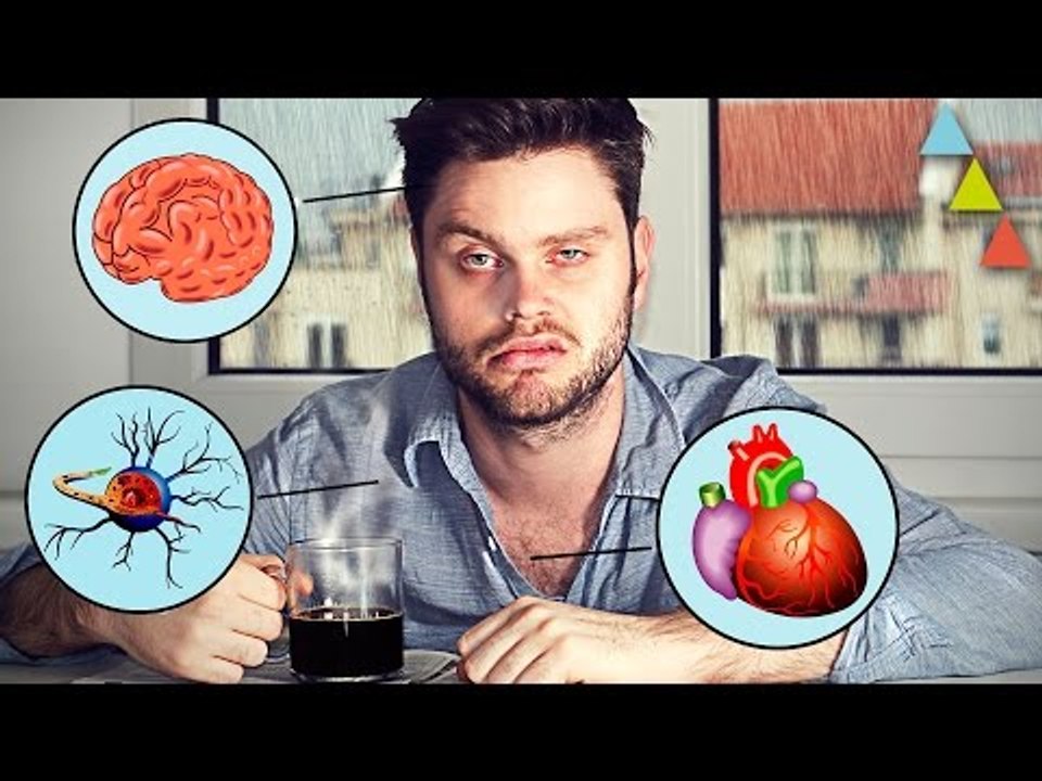 Cosas que le pasan a tu cuerpo cuando te emborr...