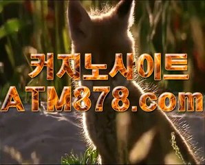 と라이브바카라주소규칙 ┣─▶ｓｔｋ424、coM◀─┫