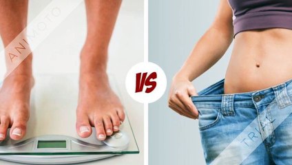 Velocity Trim Keto - Solution That Gives A Slim Looks