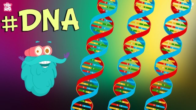 What Is DNA? | The Dr. Binocs Show - Best Learning Videos For Kids | Peekaboo Kidz