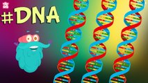 What Is DNA? | The Dr. Binocs Show - Best Learning Videos For Kids | Peekaboo Kidz