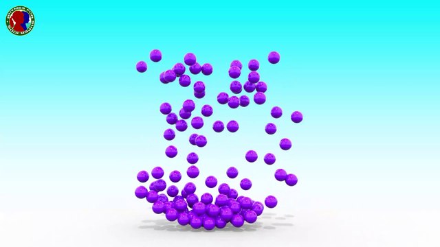 Learn Colors With Shapes And Animals Names And Sounds ## || lion cheetah bear panda tiger