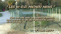 LES W-D.D. MICHOU NEWS - 5 MARS 2019 - PAU - LE Bd DES PYRÉNÉES, LE PARC BEAUMONT, LE JARDIN DE LA SÉRÉNITÉ. . .