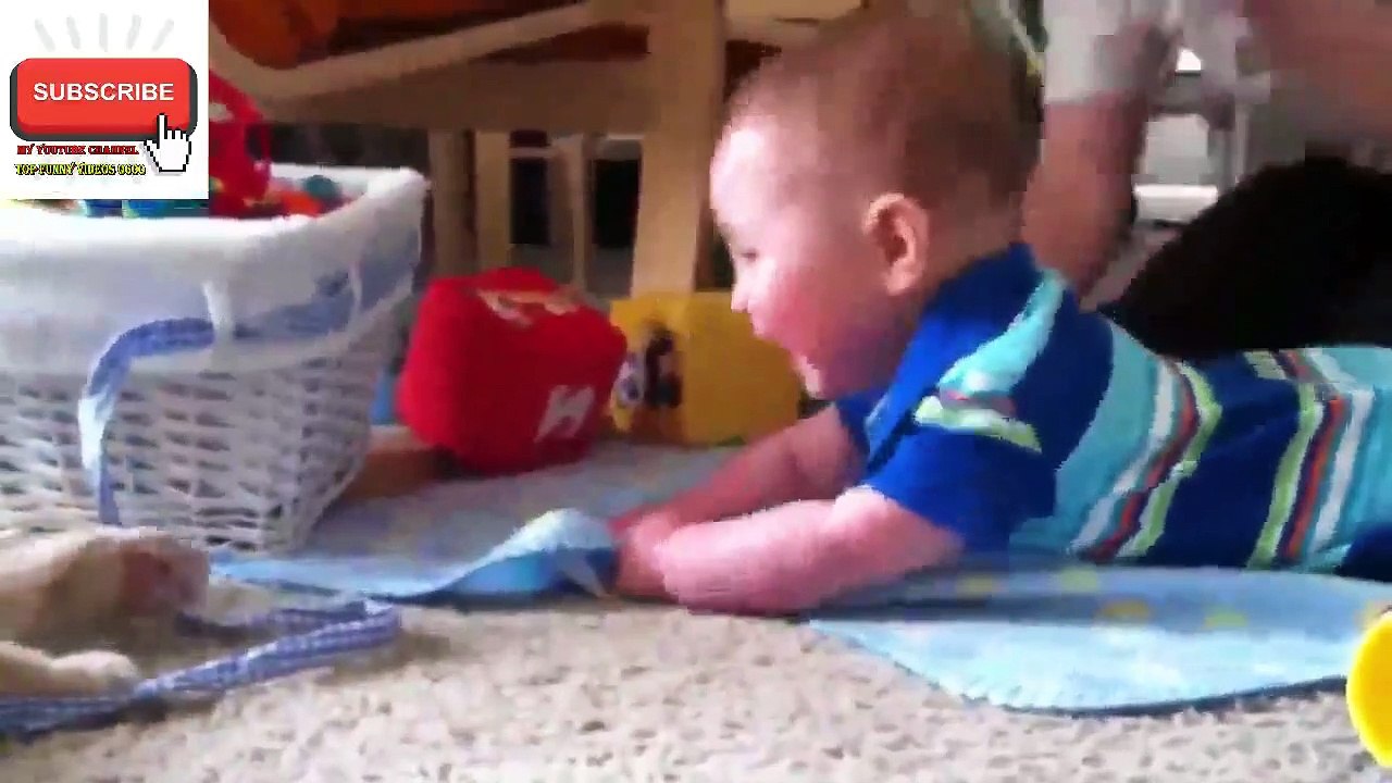 Funniest Baby With Cat  Animals  Video 2019 funny videos 0600