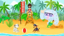 Paw Patrol aimez jouer au basket avec Groovy Le Martien à SuperZoo - Dessins animés pour les enfants