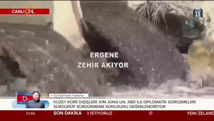 Ergene zehir akıyor