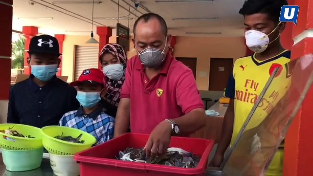 Pencemaran toksik:650 nelayan terkesan